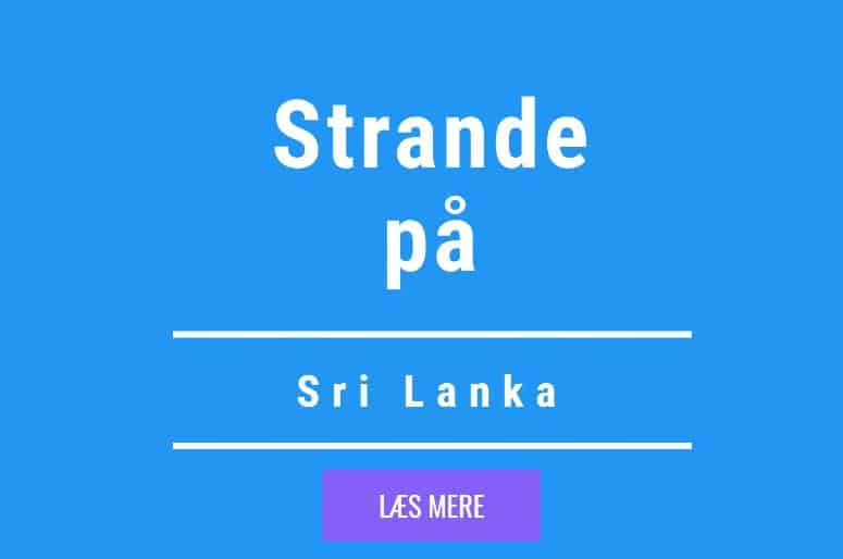 Strande på sri lanka