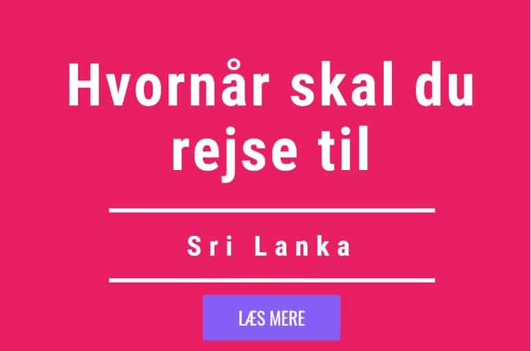 Hvornår rejse til sri lanka