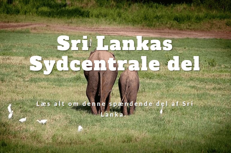Sydcentral